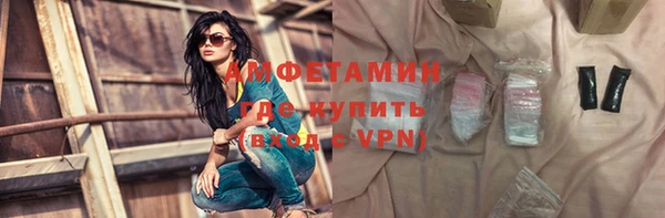 мет Алексин
