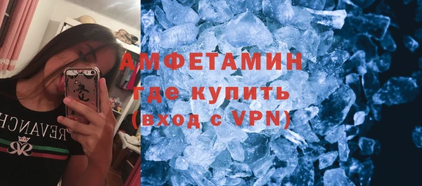 мет Алексин