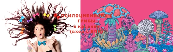 мяу мяу мука Алексеевка