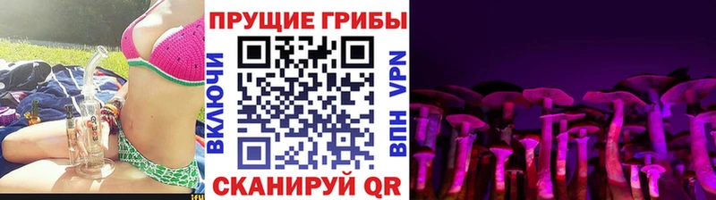 Псилоцибиновые грибы GOLDEN TEACHER Балахна